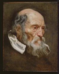 Portrait of an Old Man